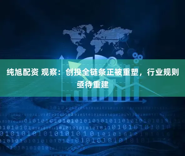 纯旭配资 观察：创投全链条正被重塑，行业规则亟待重建