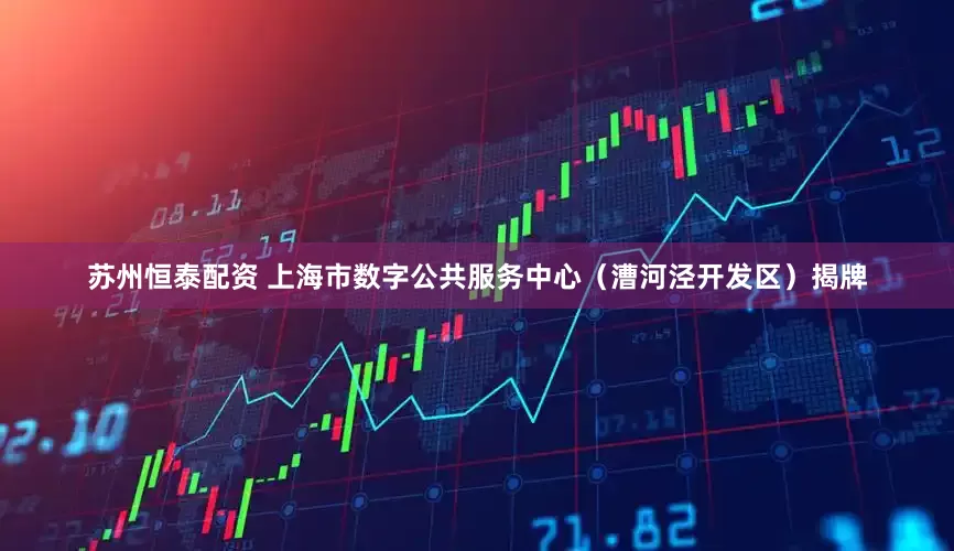 苏州恒泰配资 上海市数字公共服务中心（漕河泾开发区）揭牌