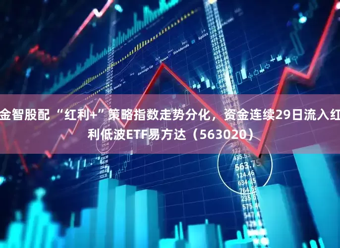 金智股配 “红利+”策略指数走势分化，资金连续29日流入红利低波ETF易方达（563020）